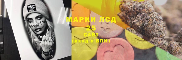 шишки Горняк