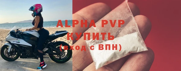 шишки Горняк