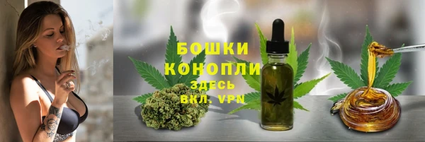 шишки Горняк