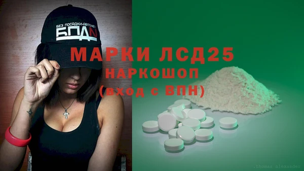 шишки Горняк