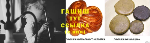 гашик Горнозаводск