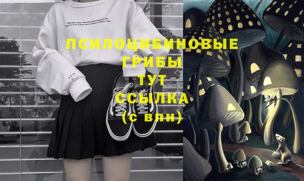 гашик Горнозаводск