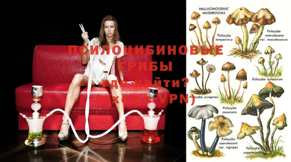 шишки Горняк