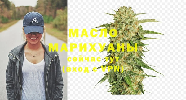 шишки Горняк