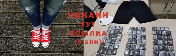 шишки Горняк