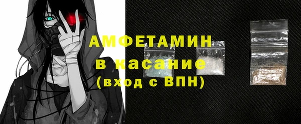 шишки Горняк