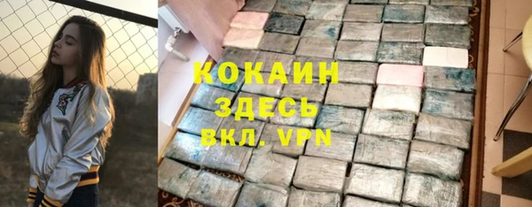 шишки Горняк