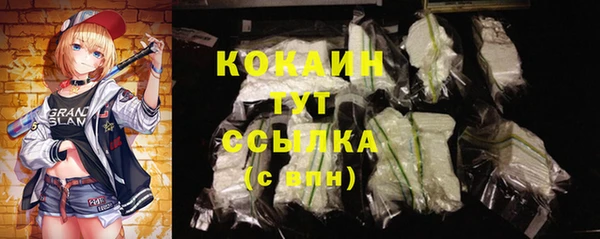 гашик Горнозаводск