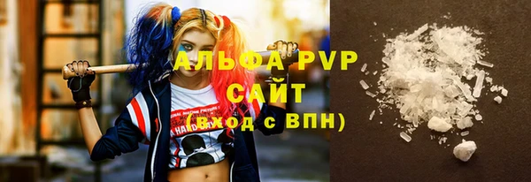 шишки Горняк