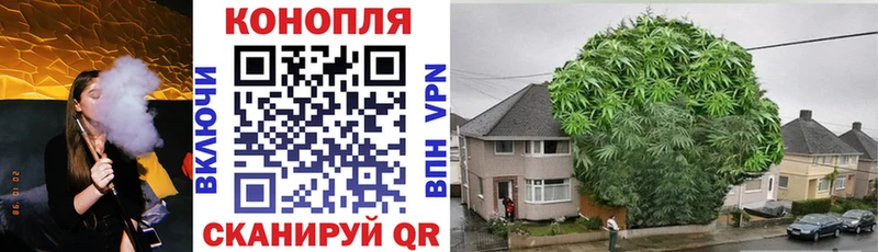 Каннабис Bruce Banner даркнет сайт Вологда